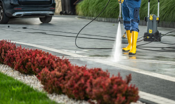 Best Soft Washing for Delicate Surfaces in Georgetown, TX